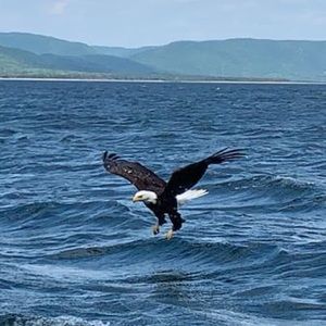 Meet your Posher, Natalia